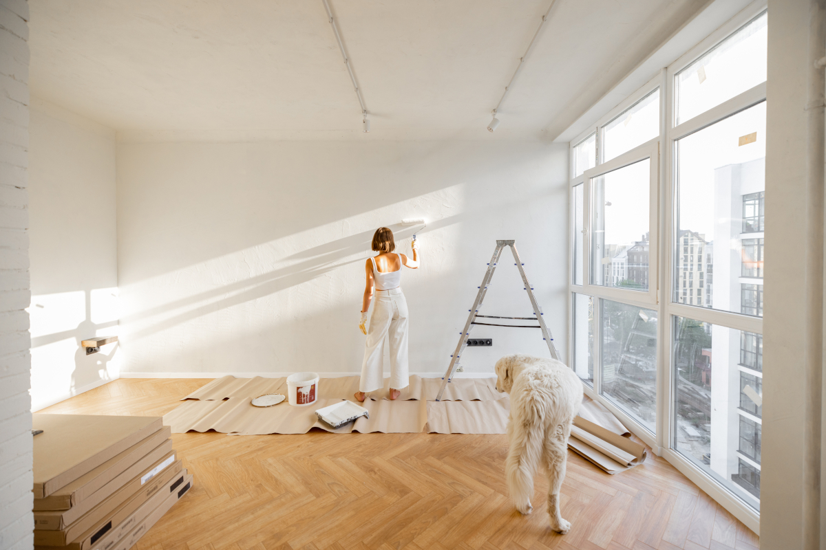 coût rénovation