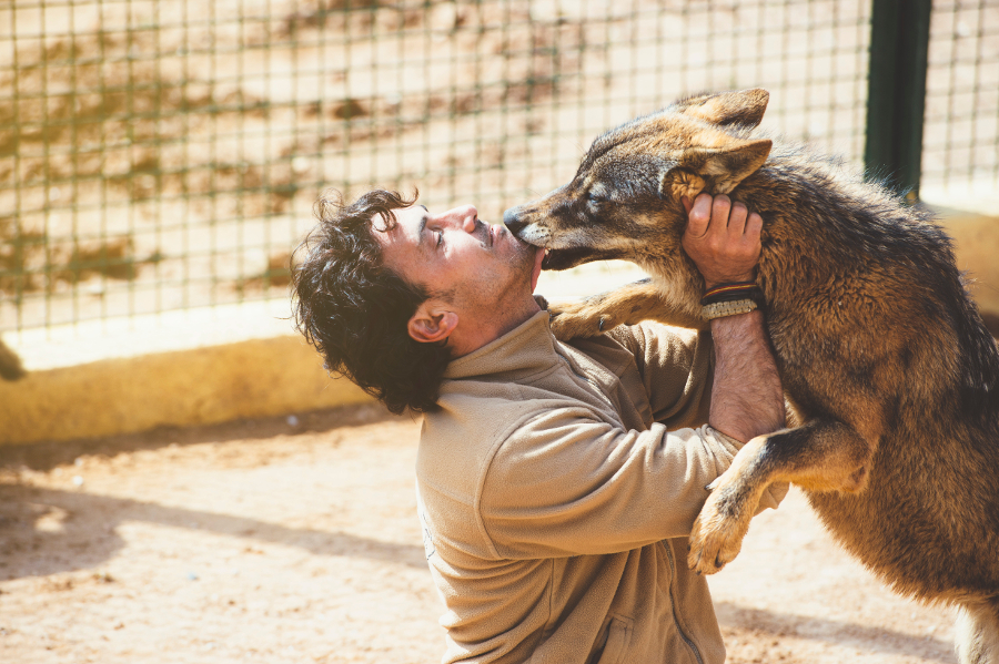 formation zoologiste