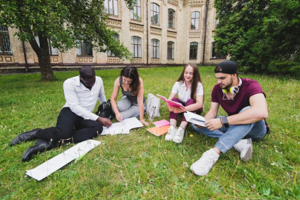 université projet études