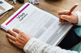 visa J1