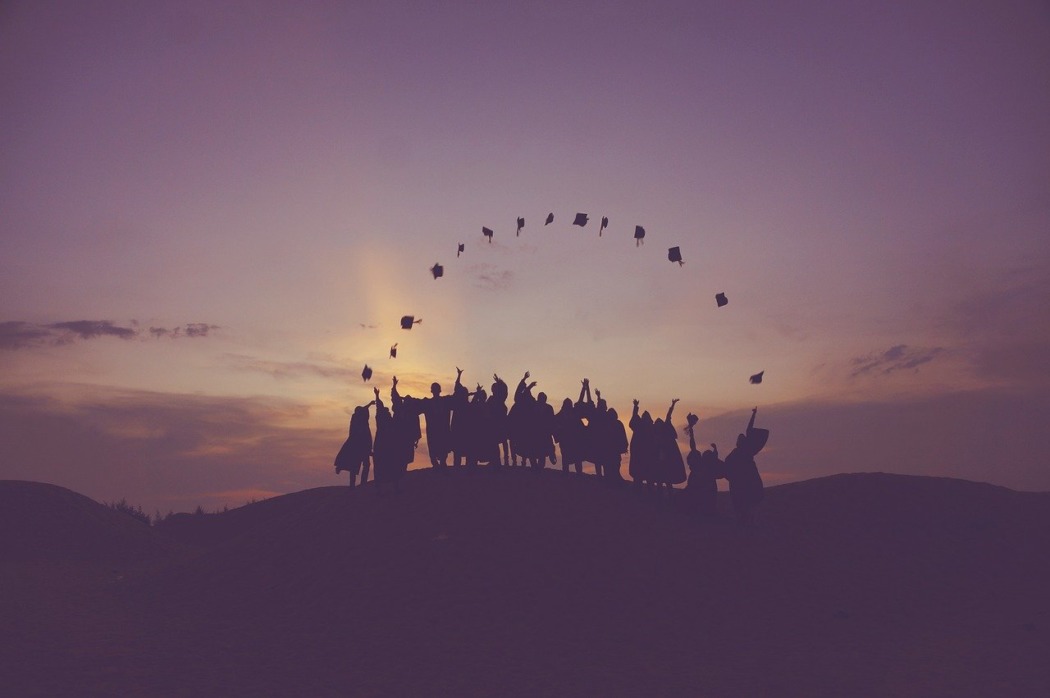 étudier le management international